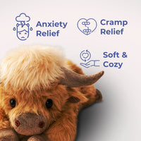 Highland Cow